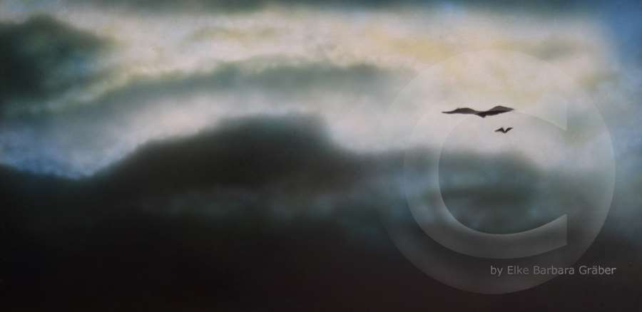 Himmel 1 (Sky1)  Metallplatte, Airbrush (metal panel), 25x50cm, 2010