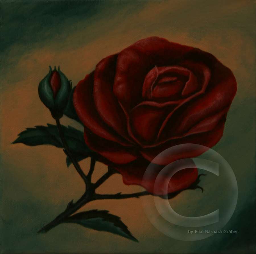 Rosen 2 (Roses 2)  Leinwand (canvas), 20x20cm, 2007
