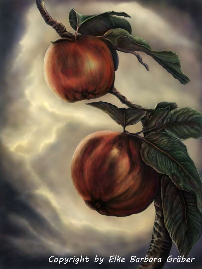 Äpfel (Apples)  2010