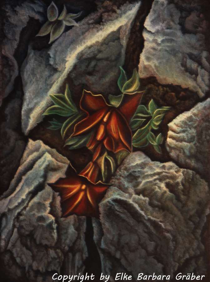 Feuersteinblumen (Flinty Flowers) Malplatte (canvas panel), 30x40cm, 2011