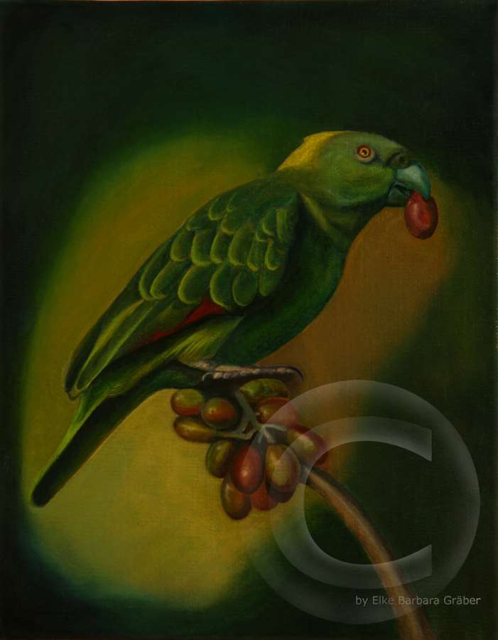 Papagei 1 (Parrot 1) - Leinwand (canvas), 24x30cm, 2007